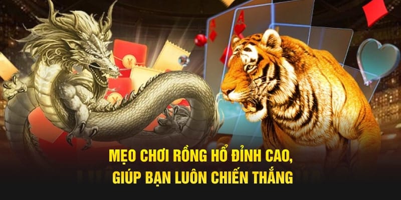 Mẹo chơi rồng hổ đỉnh cao, giúp bạn luôn chiến thắng