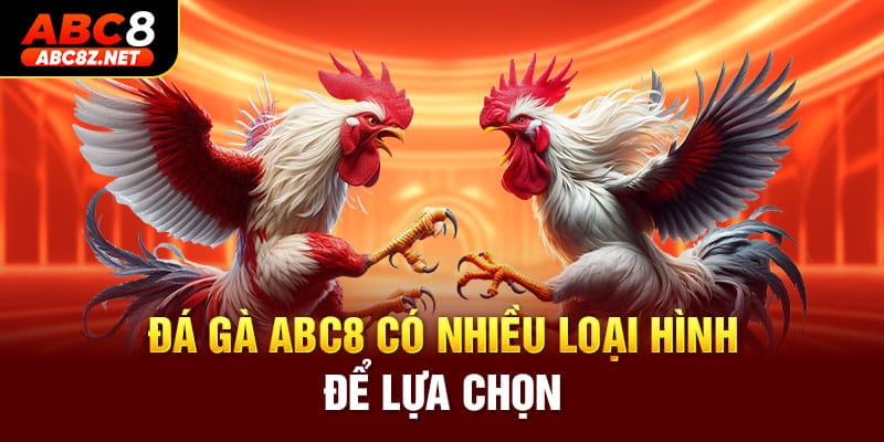 Đá gà ABC8 có nhiều loại hình để lựa chọn