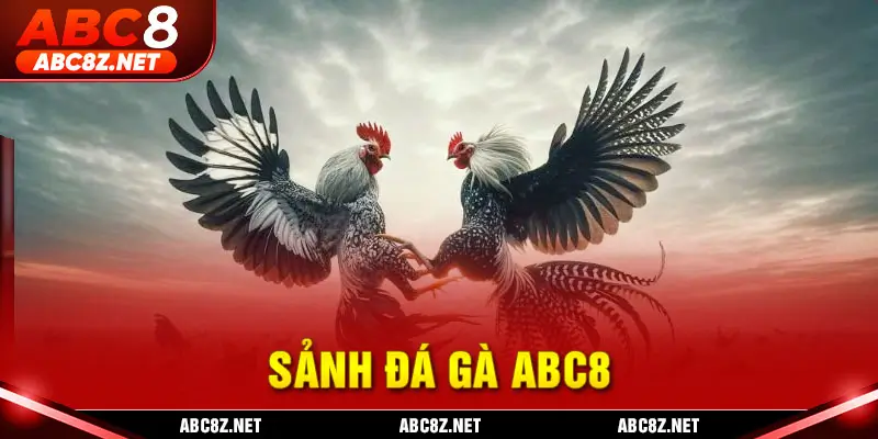 Sảnh đá gà ABC8